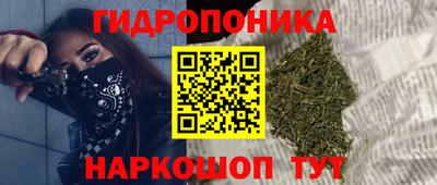 соль ск Аша